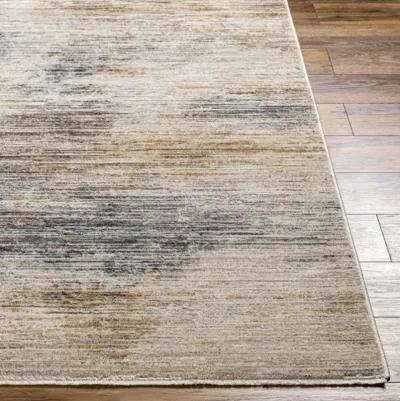 Aida AAD-2306 2'7" x 9' Machine Woven Rug