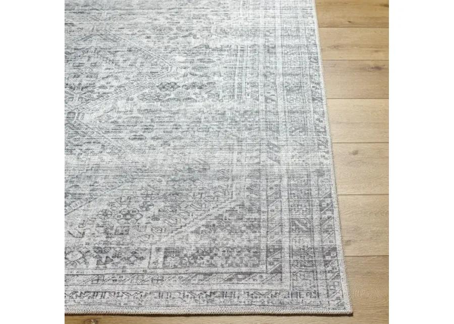 Embrace EMA-2312 2'7" x 7'10" Machine Woven Rug