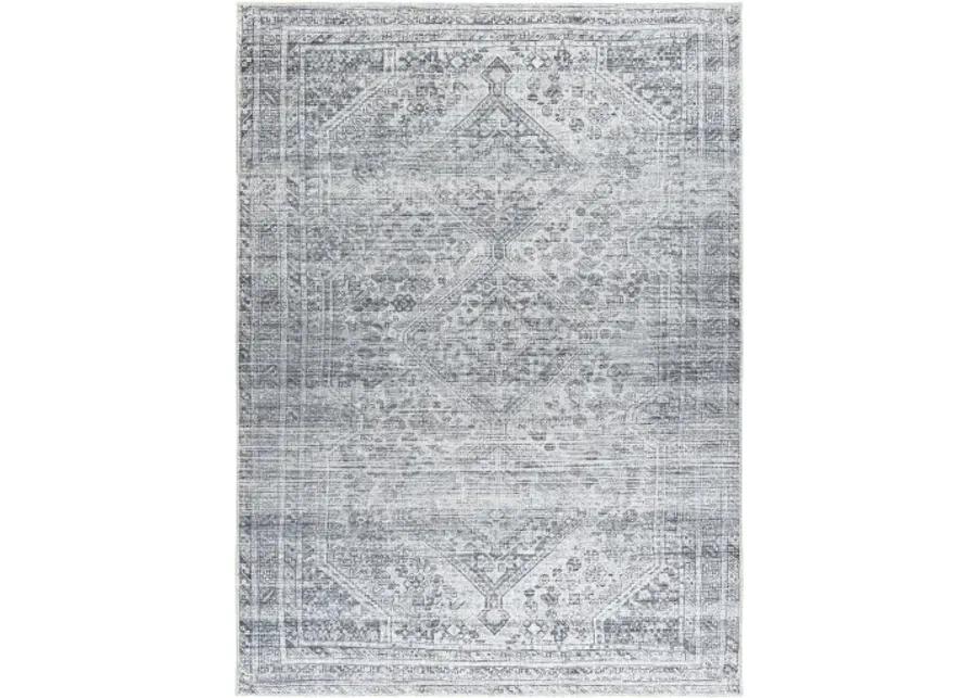 Embrace EMA-2312 2'7" x 7'10" Machine Woven Rug