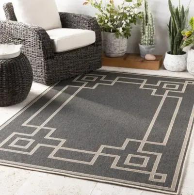 Alfresco 5'11" x 8'10" Rug