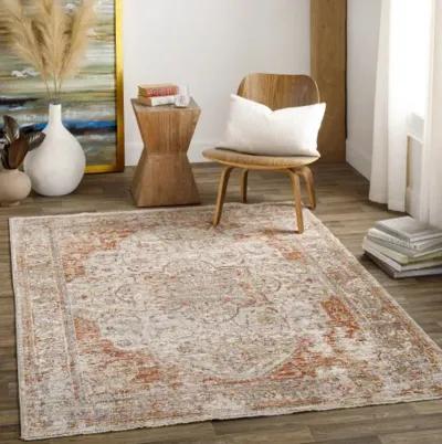 Aspendos 2'7" x 4' Rug