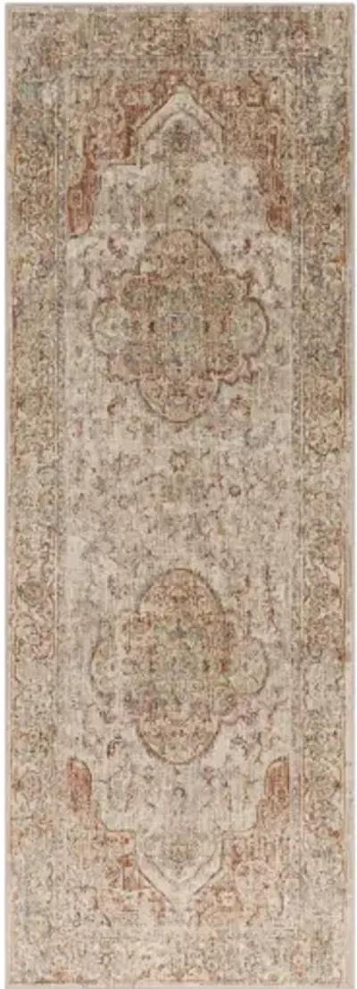 Aspendos 2'7" x 4' Rug