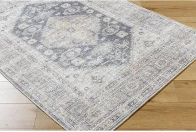 Lorelai VVLO-2306 2'7" x 7'10" Machine Woven Rug