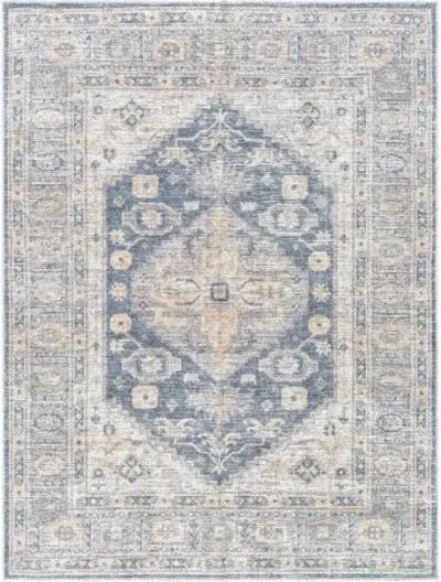 Lorelai VVLO-2306 2'7" x 7'10" Machine Woven Rug