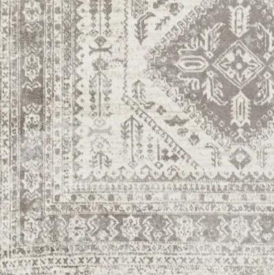 Lavadora LVR-2301 2'7" x 7'3" Rug