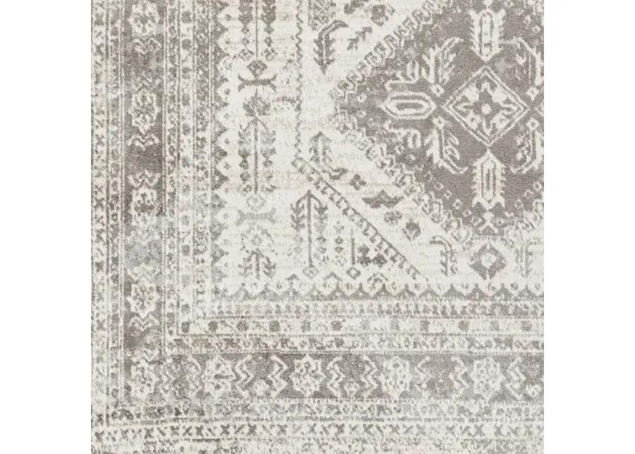 Lavadora LVR-2301 2'7" x 7'3" Rug