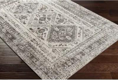 Lavadora LVR-2301 2'7" x 7'3" Rug