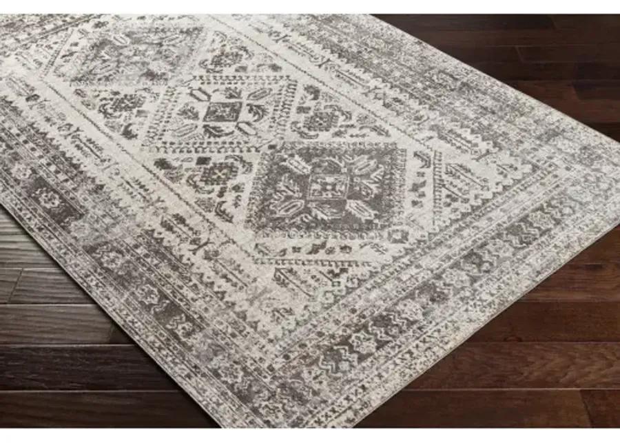 Lavadora LVR-2301 2'7" x 7'3" Rug