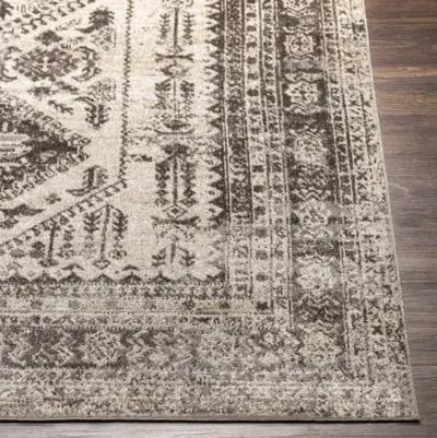 Lavadora LVR-2301 2'7" x 7'3" Rug