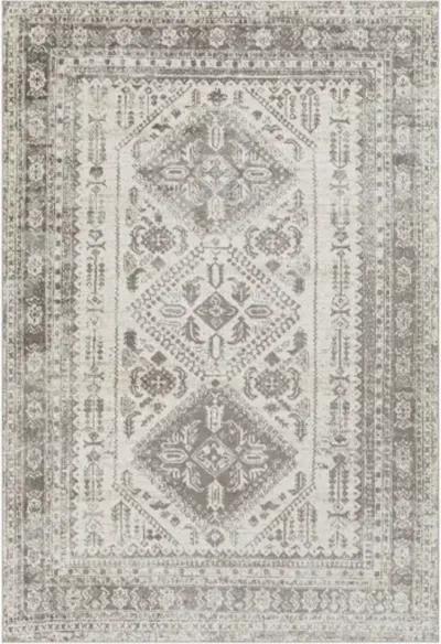 Lavadora LVR-2301 2'7" x 7'3" Rug