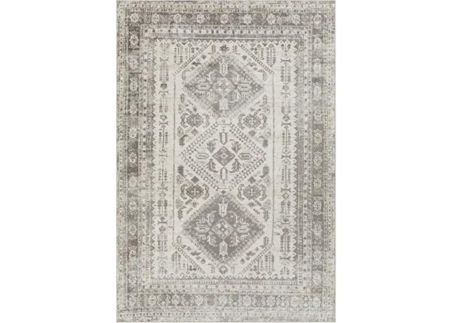 Lavadora LVR-2301 2'7" x 7'3" Rug