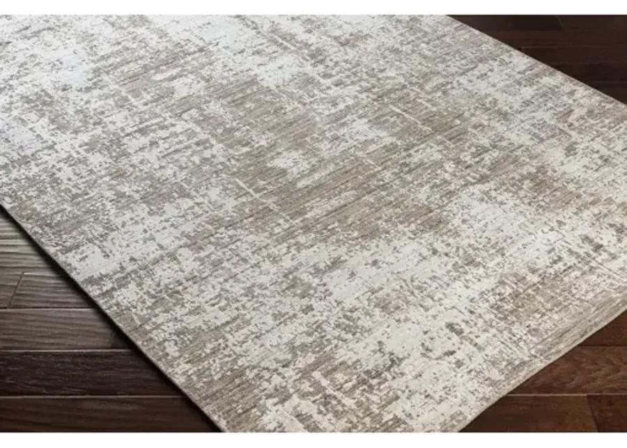 Lucknow 4' x 6' Rug