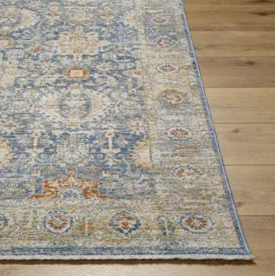 Chicago CHG-2310 8'10" x 12'8" Machine Woven Rug