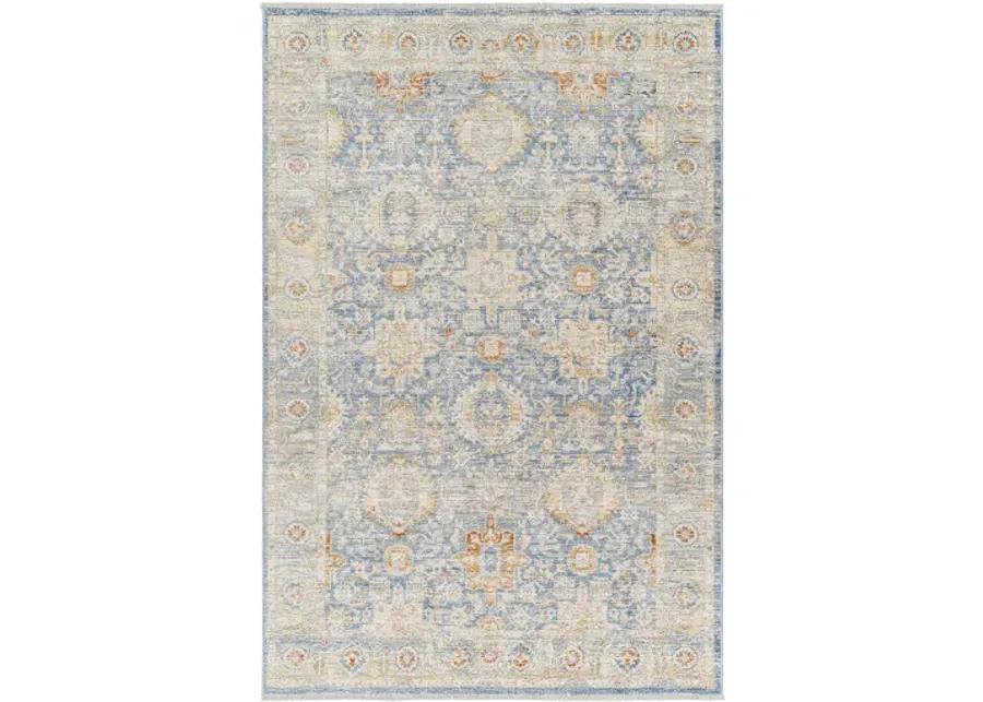 Chicago CHG-2310 8'10" x 12'8" Machine Woven Rug