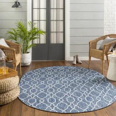 Eagean 7'10" x 10' Oval Rug