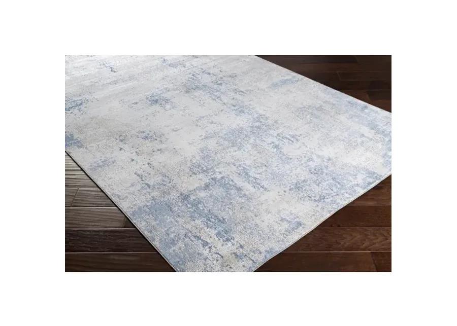 Norland 2'7" x 4' Rug