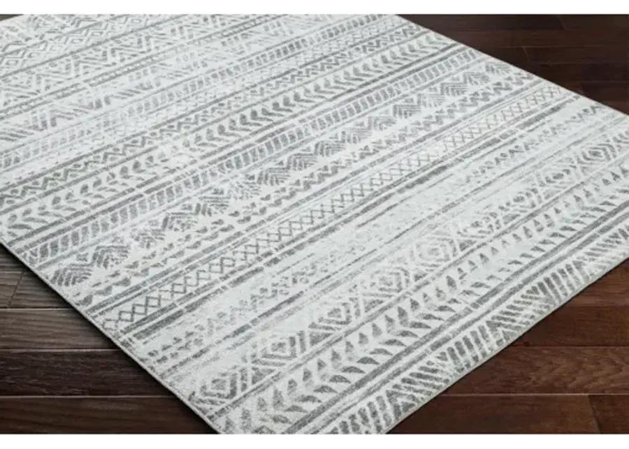 Hera HRH-2301 8'10" x 11'10" Machine Woven Rug