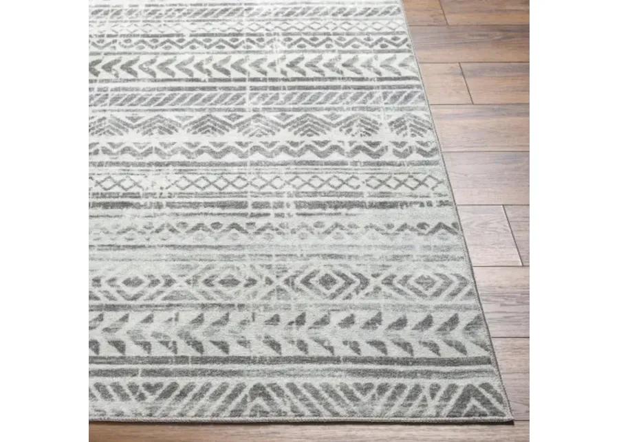 Hera HRH-2301 8'10" x 11'10" Machine Woven Rug