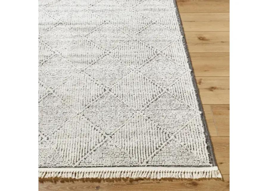 Berlin BLR-2315 2'7" x 7'3" Machine Woven Rug