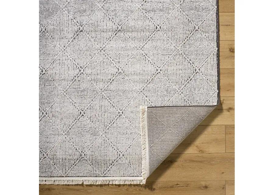 Berlin BLR-2315 2'7" x 7'3" Machine Woven Rug