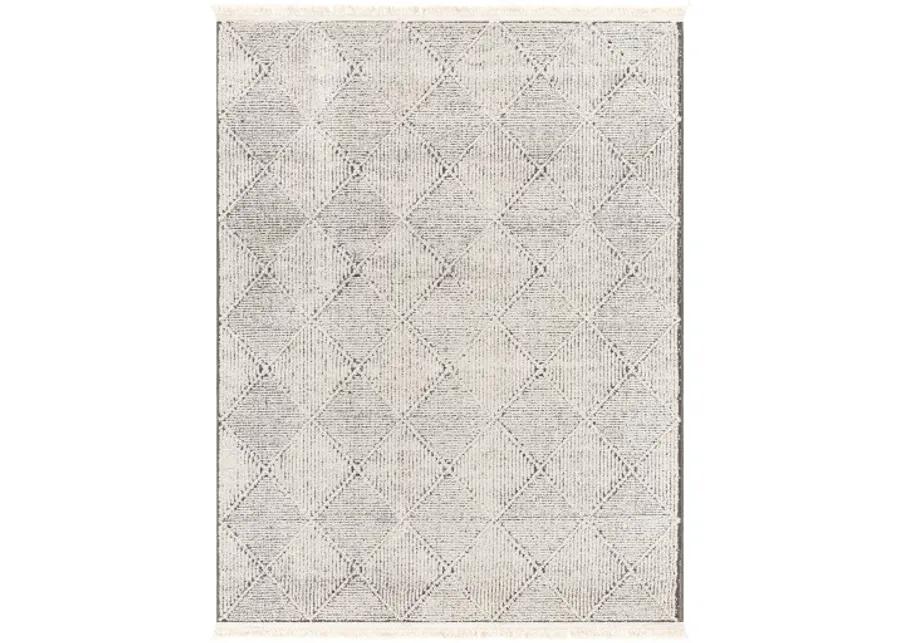 Berlin BLR-2315 2'7" x 7'3" Machine Woven Rug