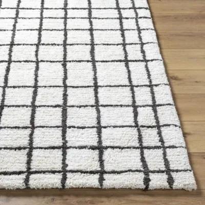 Nicole NCO-2300 2' x 3' Hand Made Rug