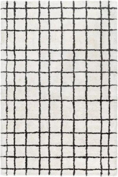 Nicole NCO-2300 2' x 3' Hand Made Rug