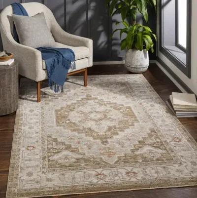 Avant Garde AVT-2315 2'7" x 7'3" Rug