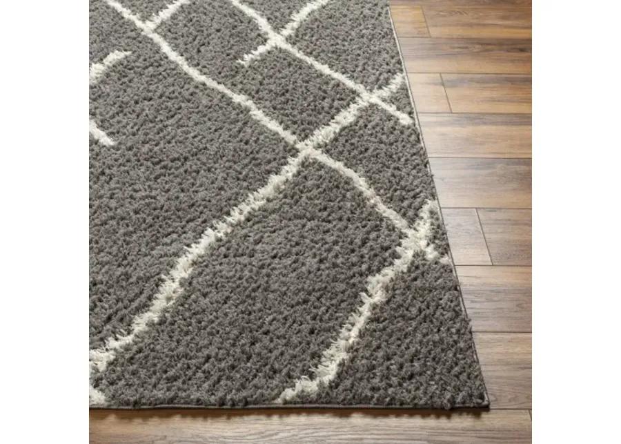 Maryland Shag 5'3" x 7' Machine Woven Rug