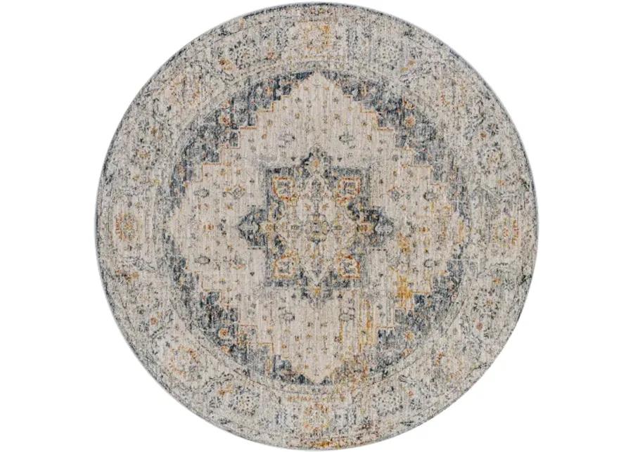 Laila 10' x 14' Rug