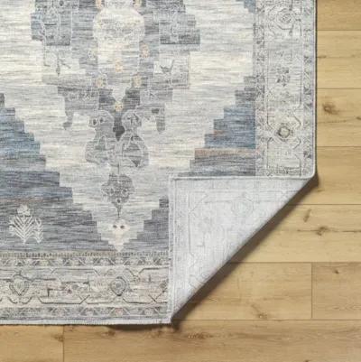 Chicago CHG-2314 2'10" x 12' Machine Woven Rug