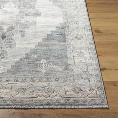 Chicago CHG-2314 2'10" x 12' Machine Woven Rug