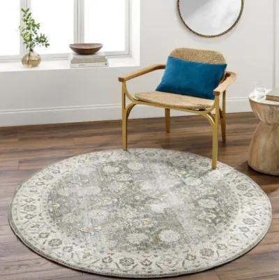 Dresden DRE-2312 5'3" x 5'3" Machine Woven Rug