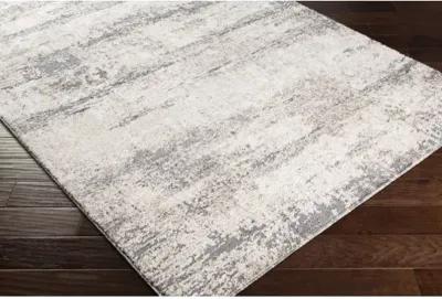 Andorra ARD-2300 6'7" x 9' Machine Woven Rug