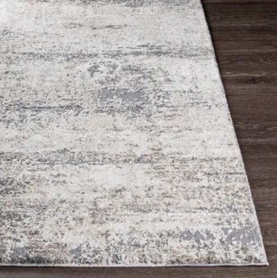 Andorra ARD-2300 6'7" x 9' Machine Woven Rug