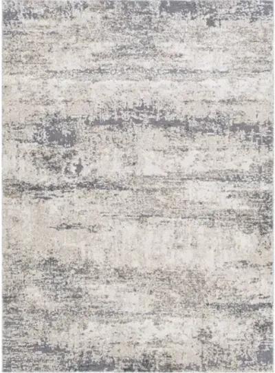 Andorra ARD-2300 6'7" x 9' Machine Woven Rug