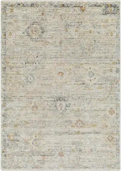 Rojin ROJ-2303 2'7" x 7'3" Machine Woven Rug