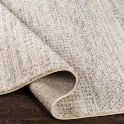 Fowler 2'7" x 8' Rug