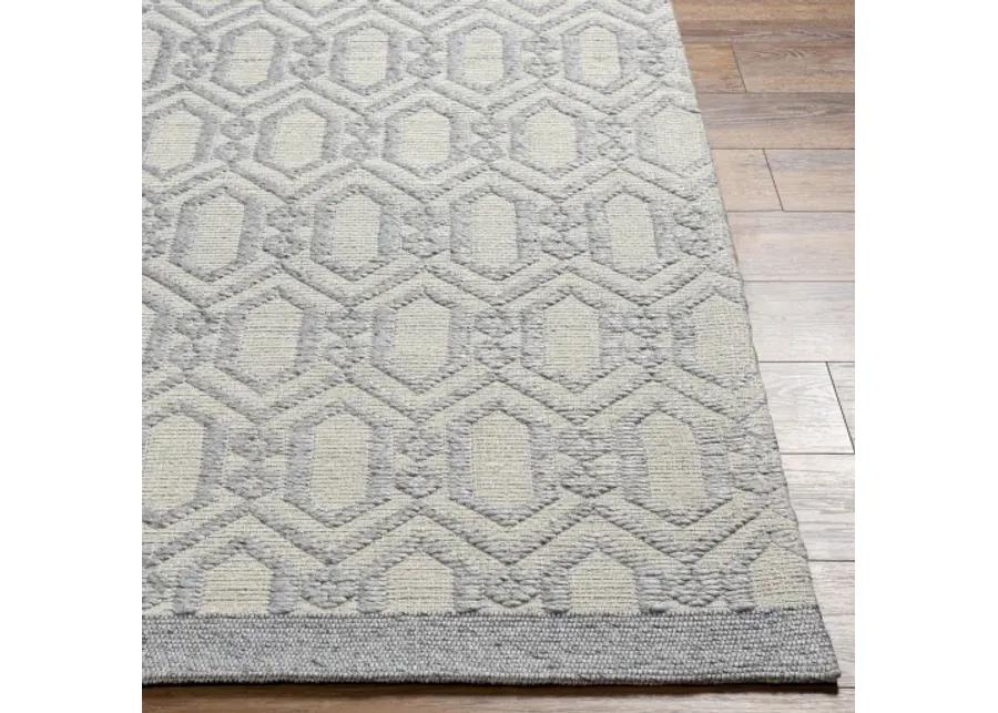 Napoli NPO-2317 9' x 12' Hand Made Rug