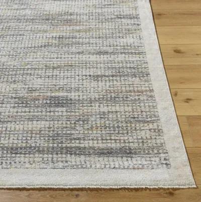 Rojin ROJ-2310 9' x 12'7" Machine Woven Rug