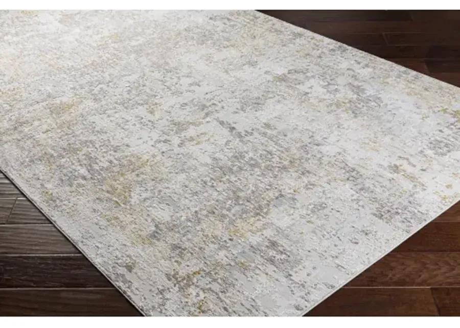 Carmel 10' x 14' Rug