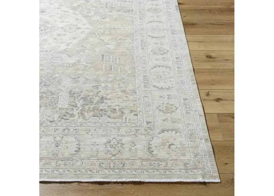 Once Upon a Time OAT-2310 2'11" x 9'10" Machine Woven Rug