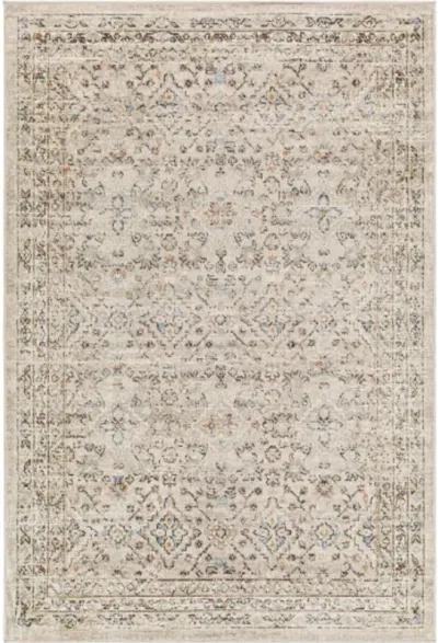 Pertek PTK-2306 6'7" x 9' Machine Woven Rug