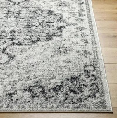 Harput 7'10" x 10'3" Rug