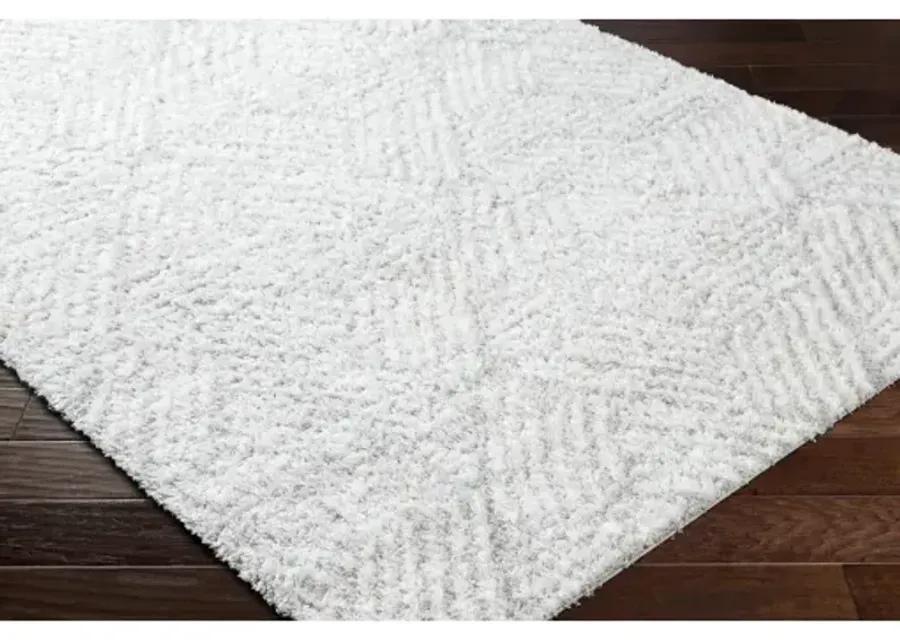 Cloudy Shag CDG-2320 7'10" x 10' Machine Woven Rug