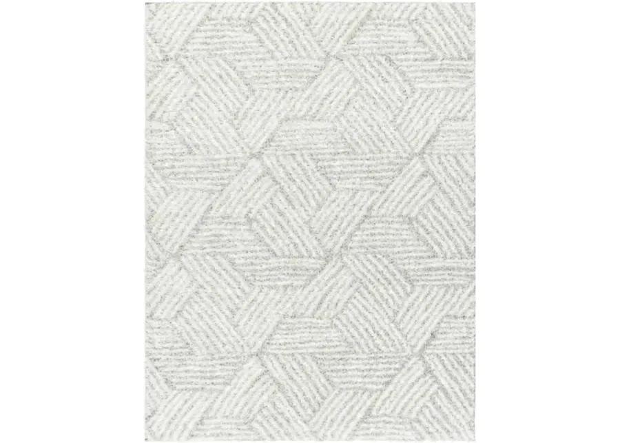 Cloudy Shag CDG-2320 7'10" x 10' Machine Woven Rug