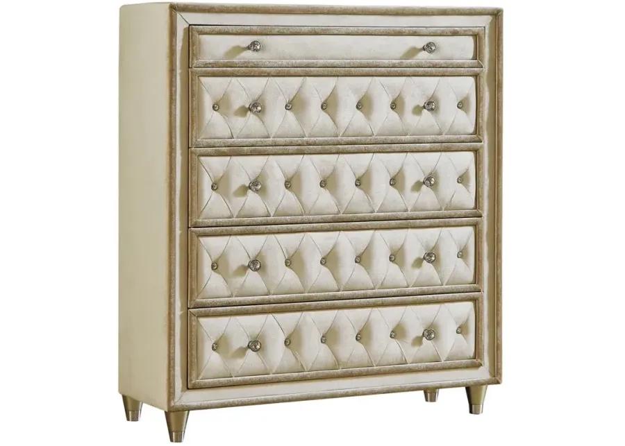 Antonella 5-drawer Upholstered Chest Ivory and Camel