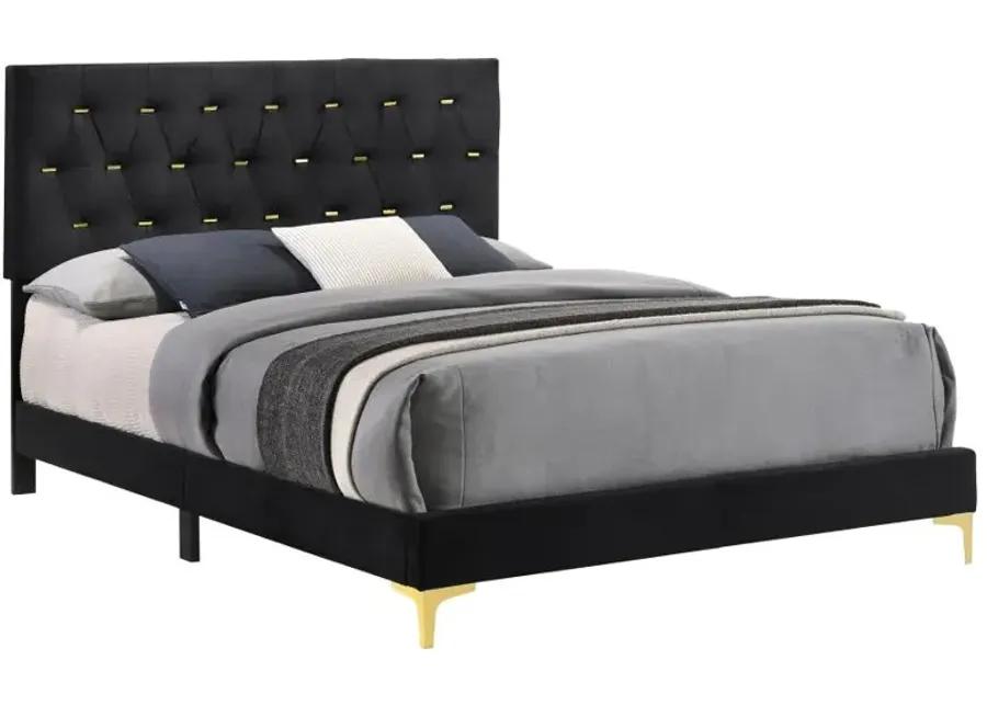 Kendall Tufted Panel California King Bed Black and Gold