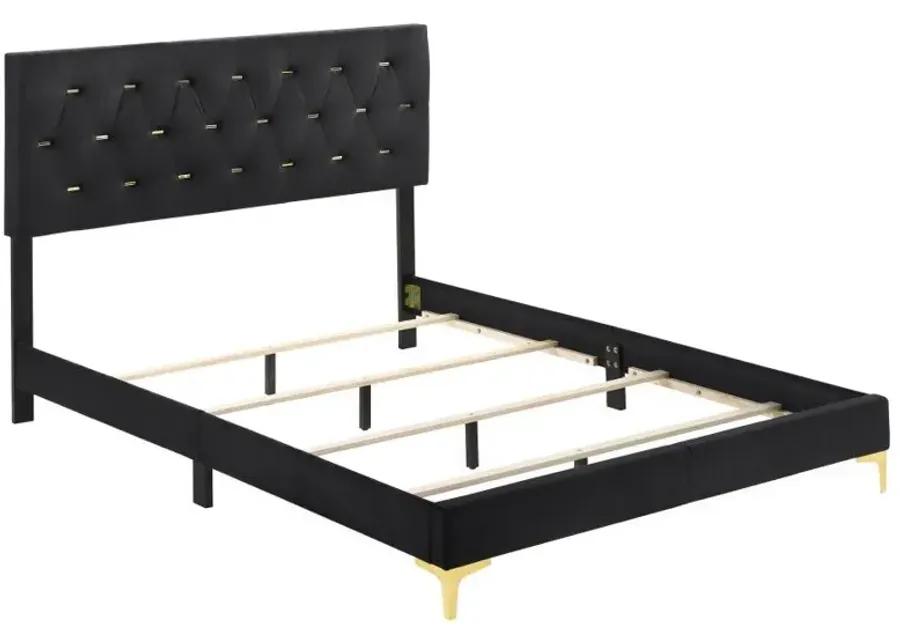 Kendall Tufted Panel California King Bed Black and Gold