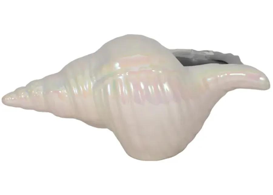 8" Iridescent Seashell With Silver, Ivory/silver